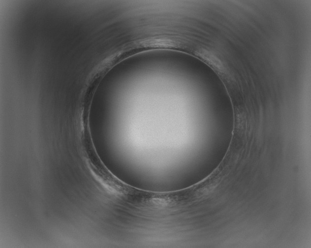 X0000073990302200608211355