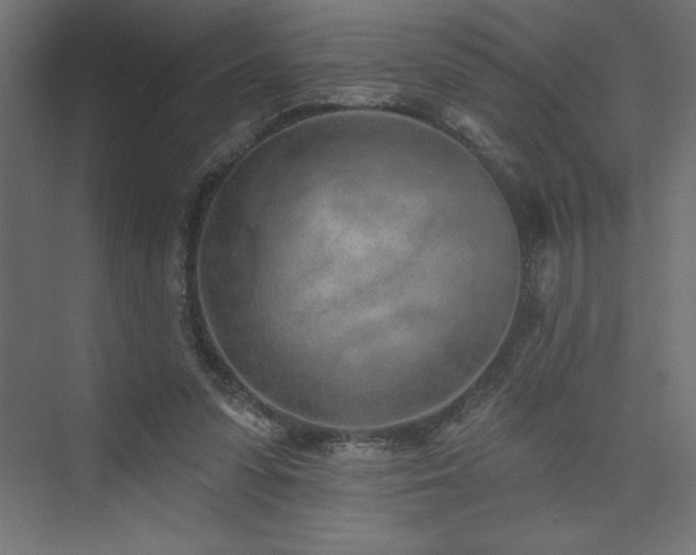 X0000073990303200608211355