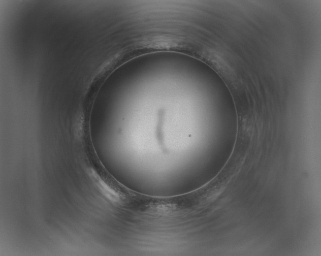 X0000073990304200608211355