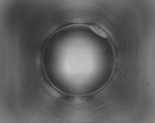 X0000073990305200608211355