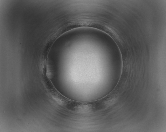 X0000073990307200608211355