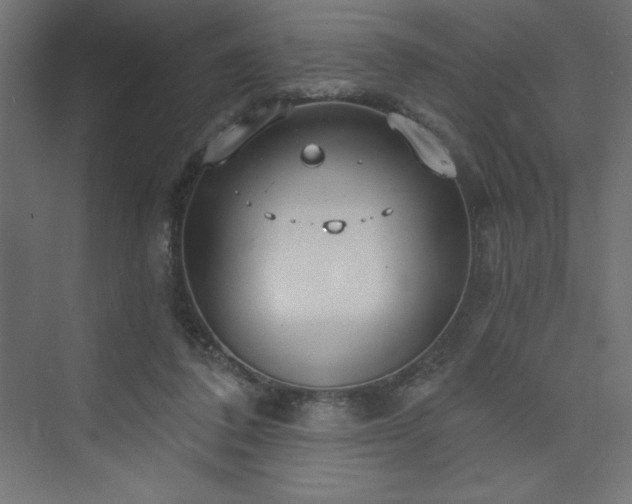 X0000073990308200608211355