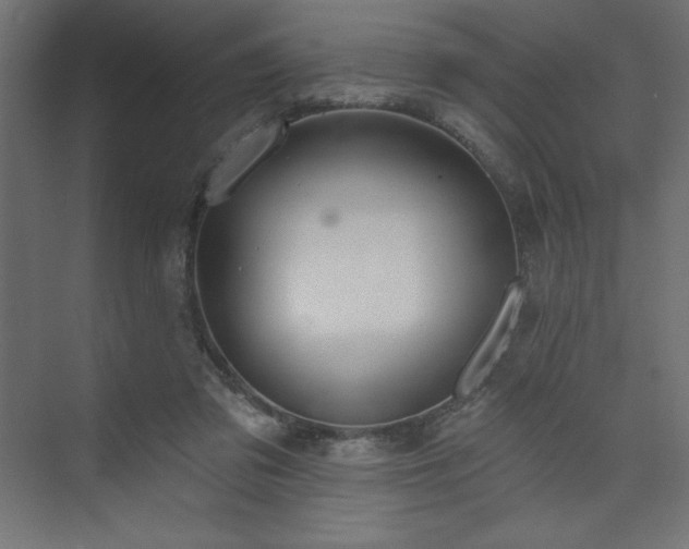 X0000073990309200608211355