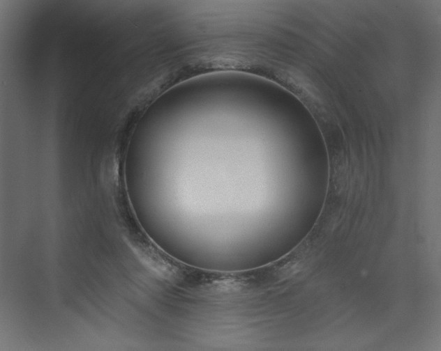 X0000073990310200608211355