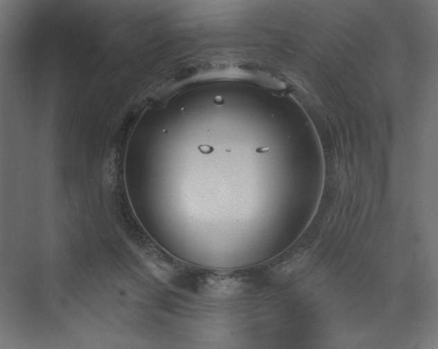 X0000073990311200608211355