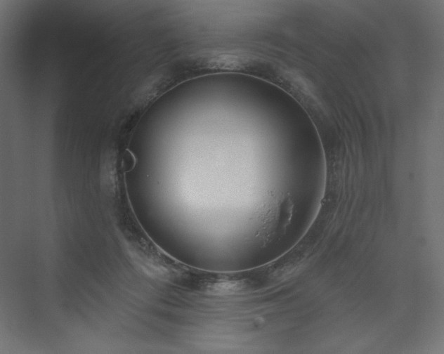 X0000073990312200608211355