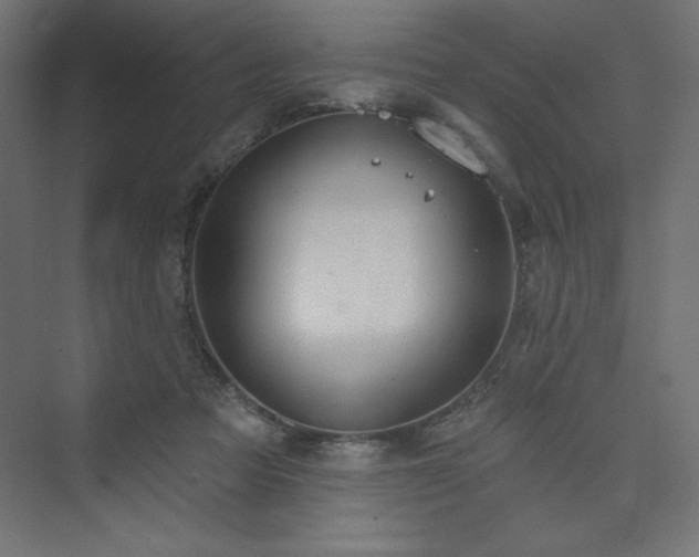 X0000073990313200608211355