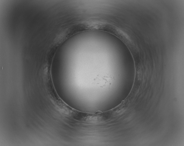 X0000073990314200608211355