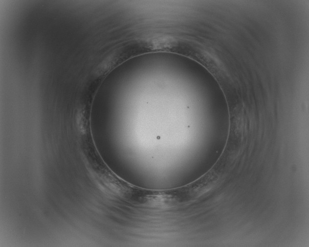 X0000073990316200608211355