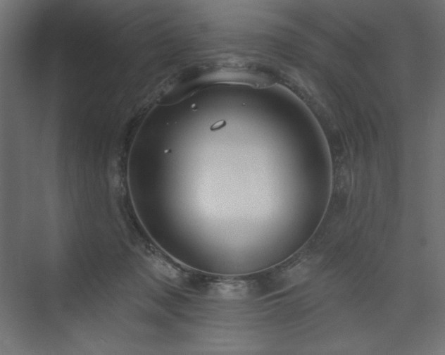 X0000073990317200608211355