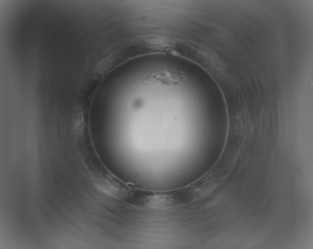 X0000073990320200608211354