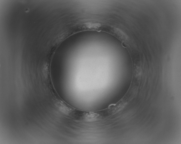 X0000073990321200608211354