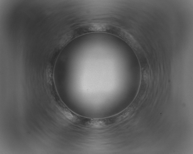 X0000073990322200608211354