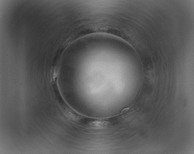 X0000073990323200608211354