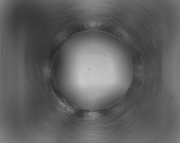 X0000073990324200608211354