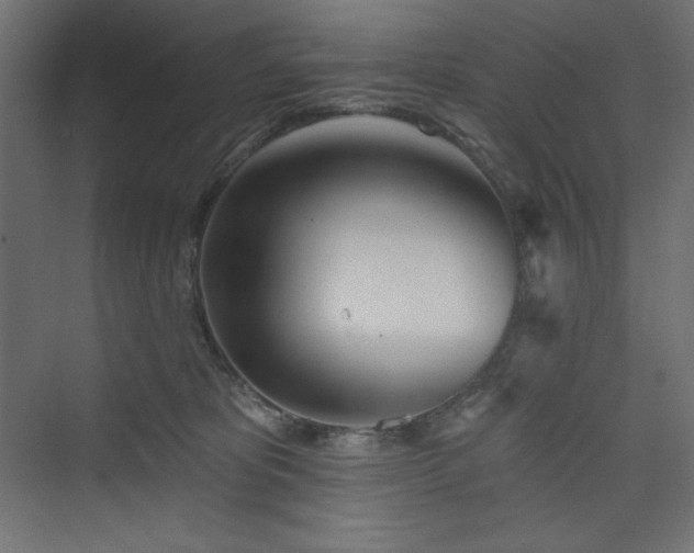 X0000073990325200608211354