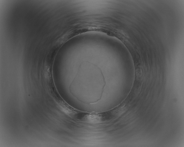 X0000073990327200608211354