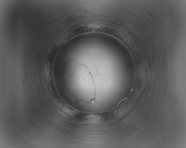 X0000073990328200608211354