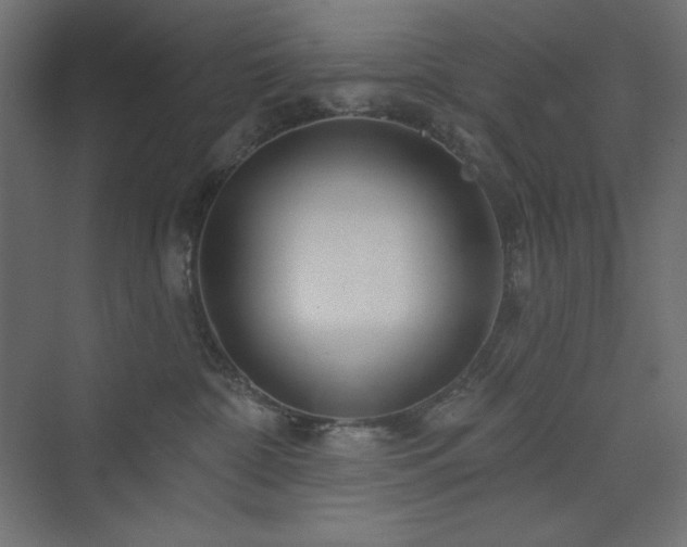 X0000073990332200608211354