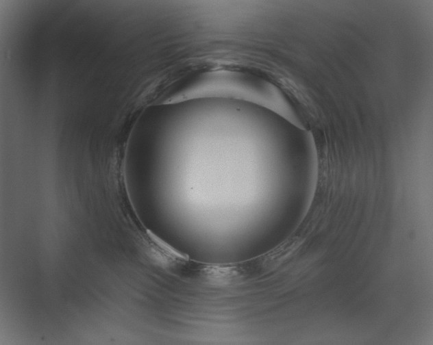 X0000073990333200608211354