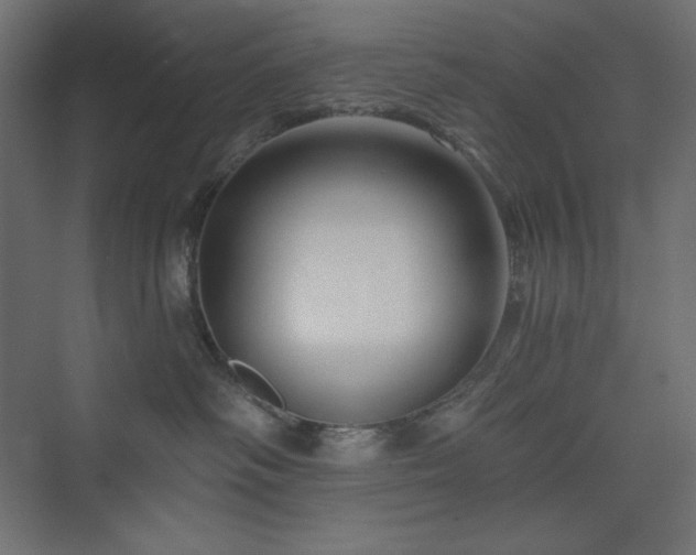 X0000073990334200608211354