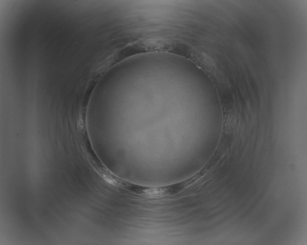 X0000073990335200608211354