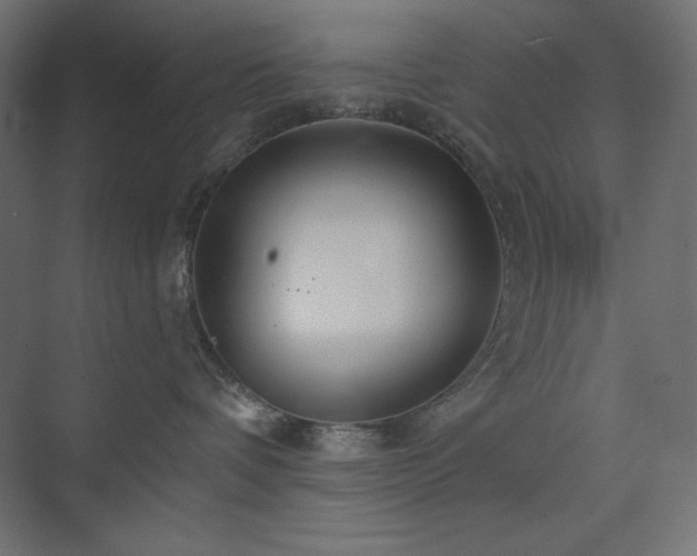 X0000073990336200608211354