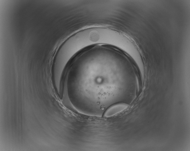 X0000073990337200608211353