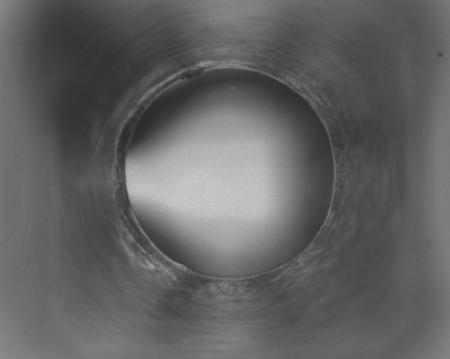 X0000073990338200608211353