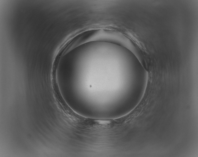 X0000073990340200608211353