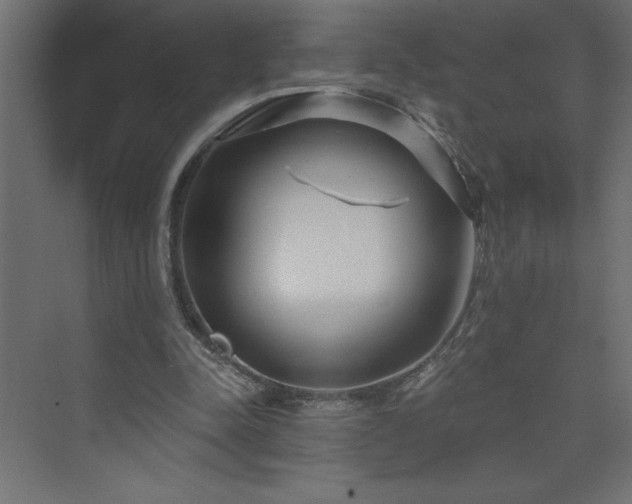 X0000073990342200608211354