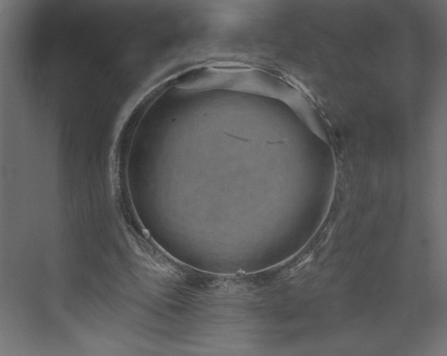 X0000073990343200608211354