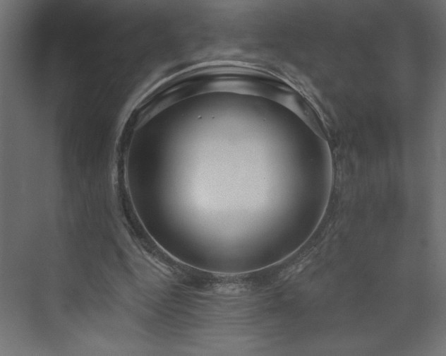 X0000073990344200608211354