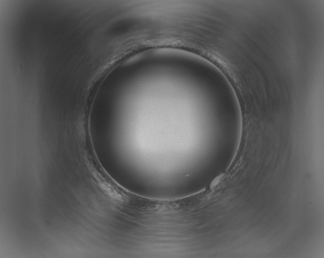 X0000073990345200608211354