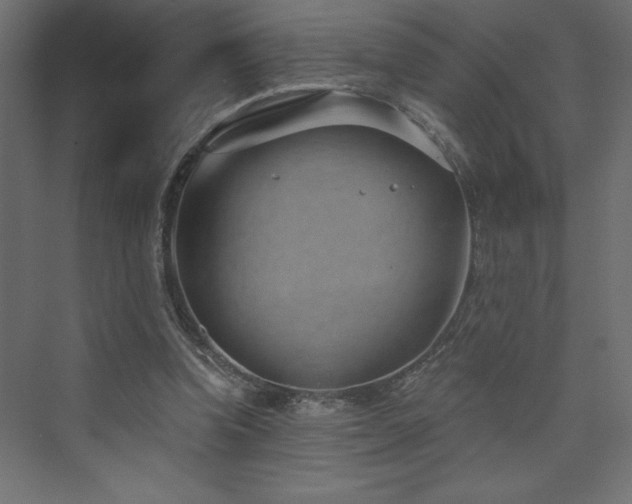 X0000073990346200608211354