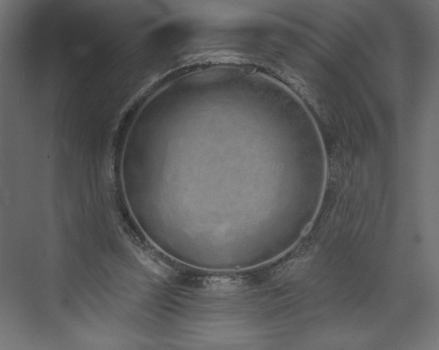 X0000073990347200608211354