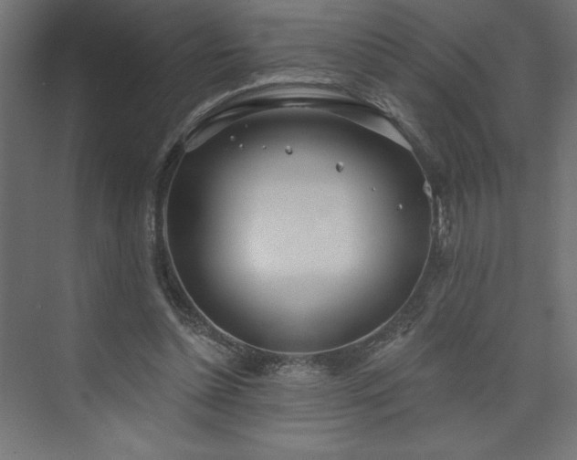 X0000073990348200608211354