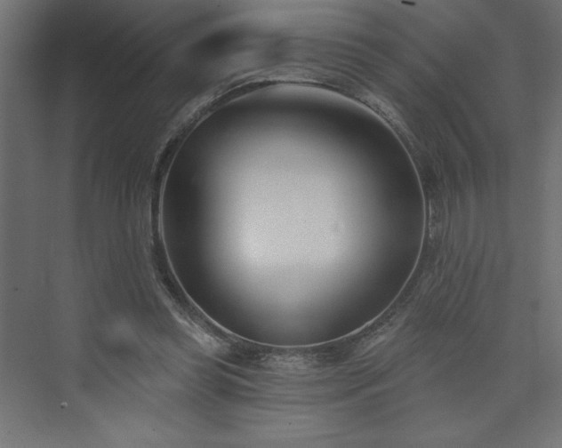 X0000073990349200608211354