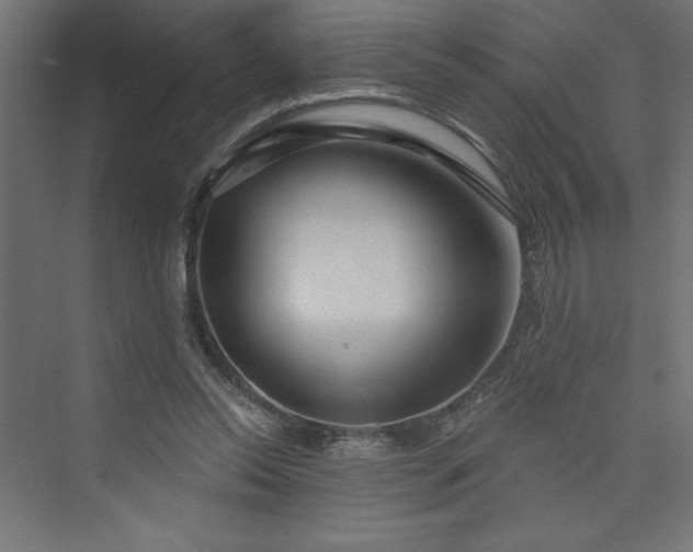 X0000073990350200608211354