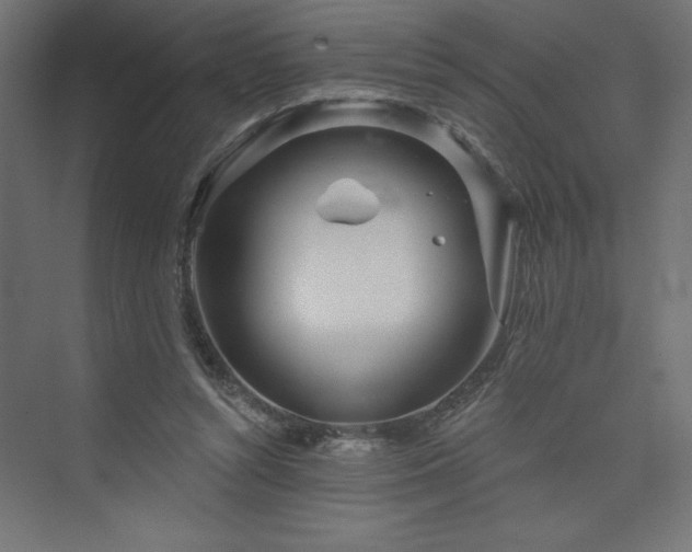 X0000073990352200608211354