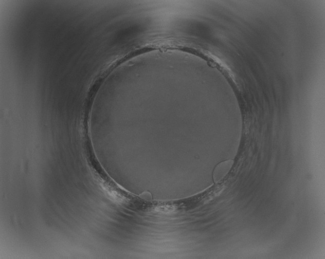 X0000073990353200608211354