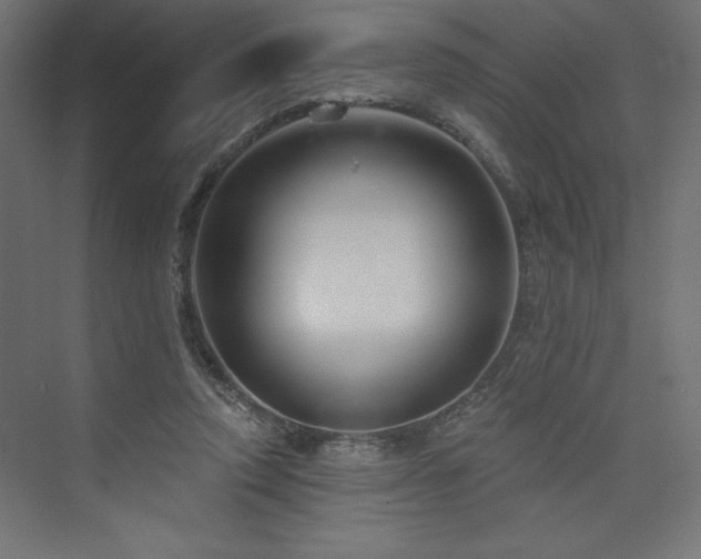 X0000073990354200608211354