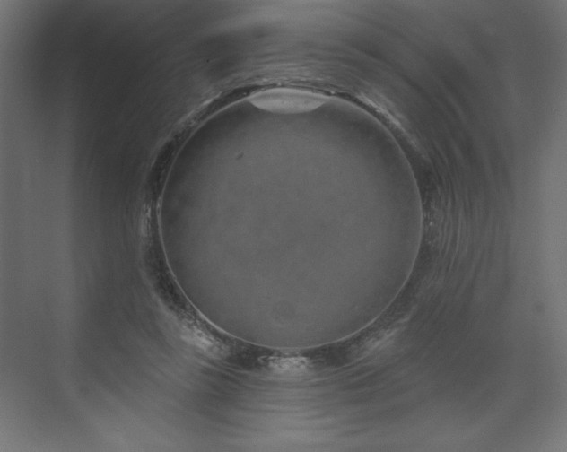 X0000073990355200608211354