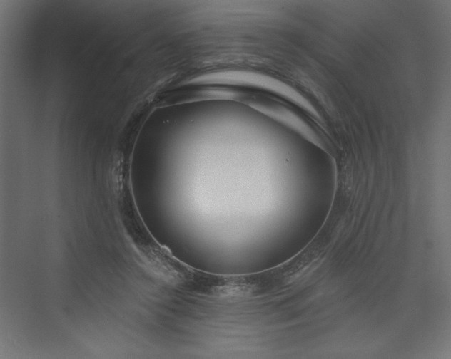 X0000073990356200608211354