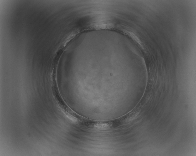 X0000073990357200608211354