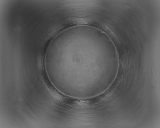 X0000073990359200608211354