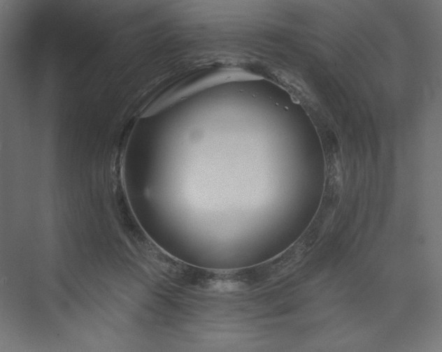 X0000073990360200608211354