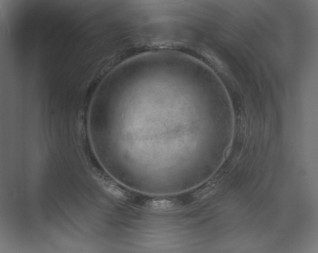 X0000073990361200608211354