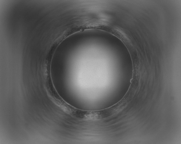 X0000073990362200608211354