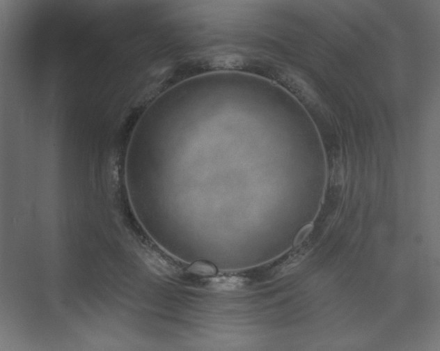 X0000073990363200608211354